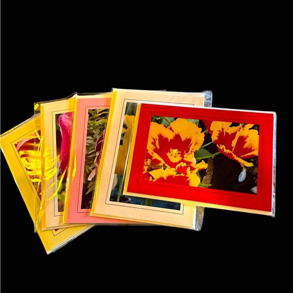 Colorful Floral Greeting Cards Set- Tulips /Original Photography Set of 5